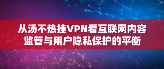 从汤不热挂VPN看互联网内容监管与用户隐私保护的平衡