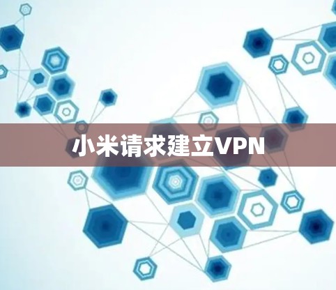 小米请求建立VPN