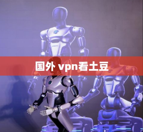 国外 vpn看土豆