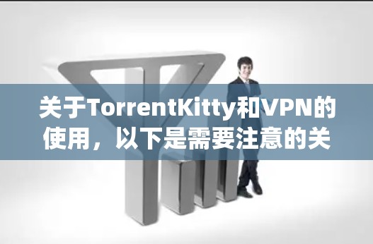 关于TorrentKitty和VPN的使用，以下是需要注意的关键点