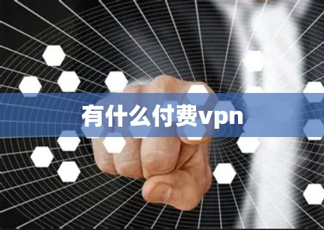 有什么付费vpn