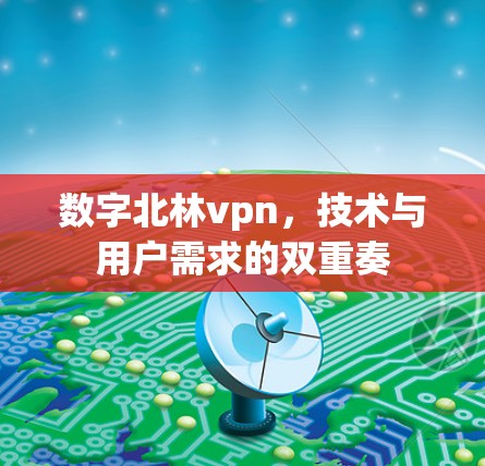 数字北林vpn，技术与用户需求的双重奏
