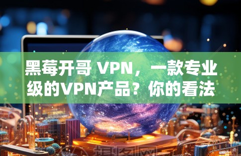 黑莓开哥 VPN，一款专业级的VPN产品？你的看法是怎样的？