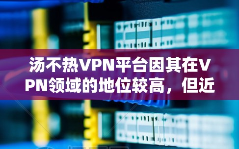 汤不热VPN平台因其在VPN领域的地位较高，但近年来在安全性和安全性方面受到了一些质疑。如果您对VPN的安全性有较高要求，以下是一些建议和推荐