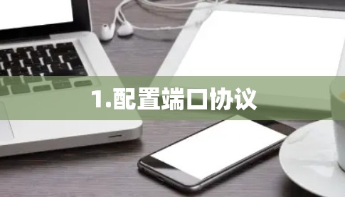 1.配置端口协议