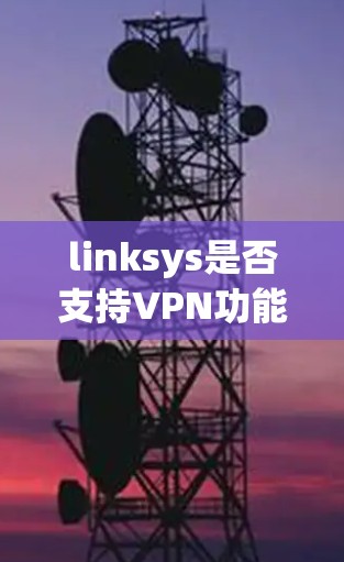 linksys是否支持VPN功能？