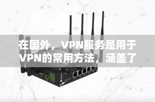 在国外，VPN服务是用于VPN的常用方法，涵盖了多种国际运营商和品牌。以下是一些常见的国外VPN服务