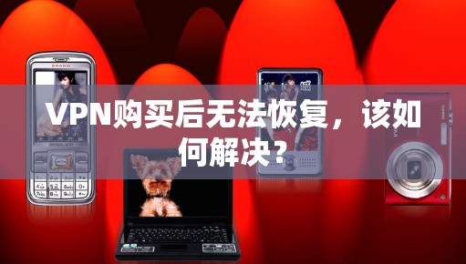 VPN购买后无法恢复，该如何解决？