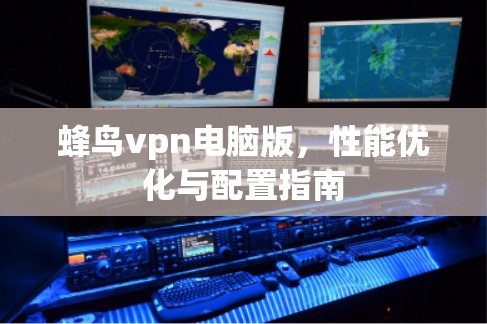 蜂鸟vpn电脑版，性能优化与配置指南