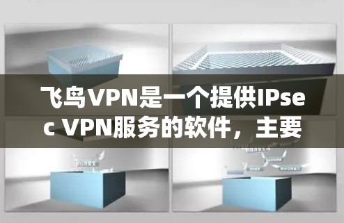 飞鸟VPN是一个提供IPsec VPN服务的软件，主要用于通过VPN连接外网，帮助用户保护个人数据和隐私。需要注意的是，飞鸟VPN并不直接支持安卓系统，而是可以在其他平台上下载并运行