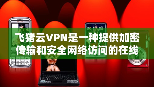飞猪云VPN是一种提供加密传输和安全网络访问的在线VPN服务，适合需要加密视频、会议、直播等高安全性的用户。以下是对飞猪云VPN的详细介绍