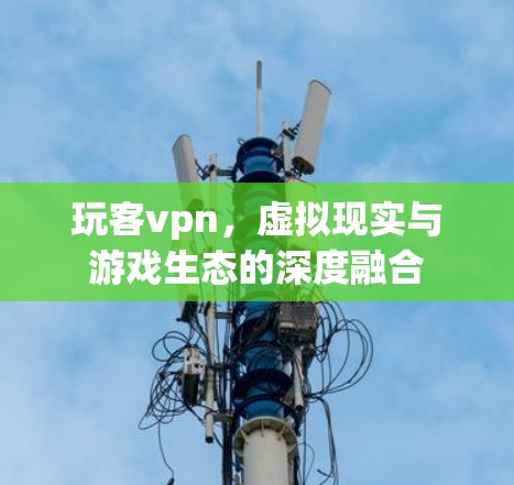 玩客vpn，虚拟现实与游戏生态的深度融合