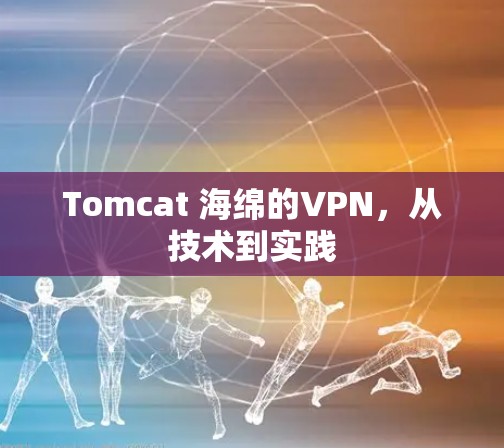 Tomcat 海绵的VPN，从技术到实践