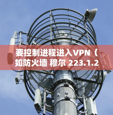 要控制进程进入VPN（如防火墙 穆尔 223.1.25）可以按照以下步骤操作