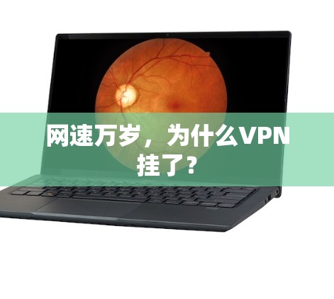 网速万岁，为什么VPN挂了？