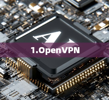1.OpenVPN 1.OpenVPN