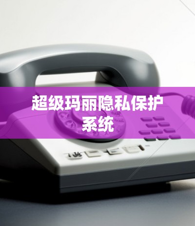 超级玛丽隐私保护系统