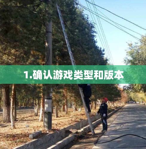 1.确认游戏类型和版本