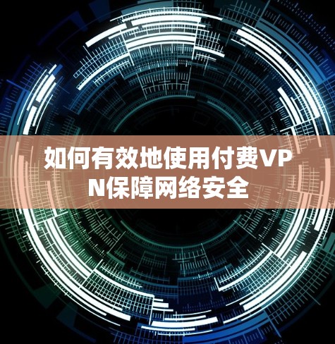 如何有效地使用付费VPN保障网络安全