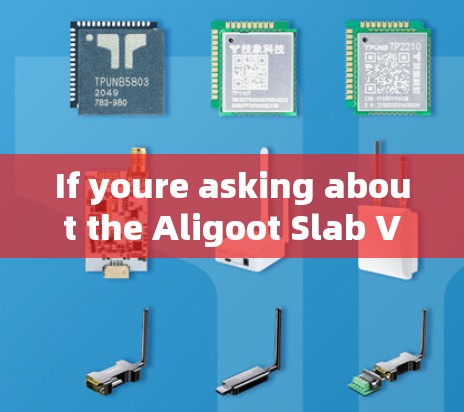If youre asking about the Aligoot Slab VPN,here are some key features of the service:
