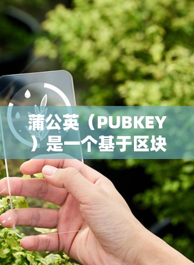 蒲公英（PUBKEY）是一个基于区块链技术的VPN服务，旨在提供安全、可靠的网络连接。以下是关于蒲公英的一些关键信息
