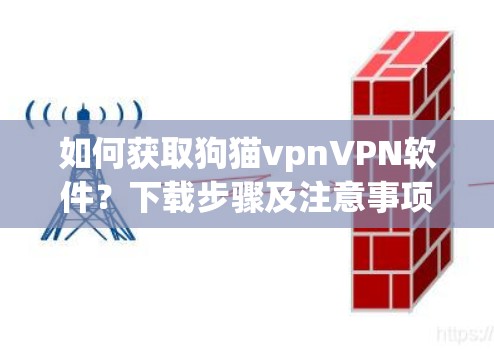 如何获取狗猫vpnVPN软件？下载步骤及注意事项