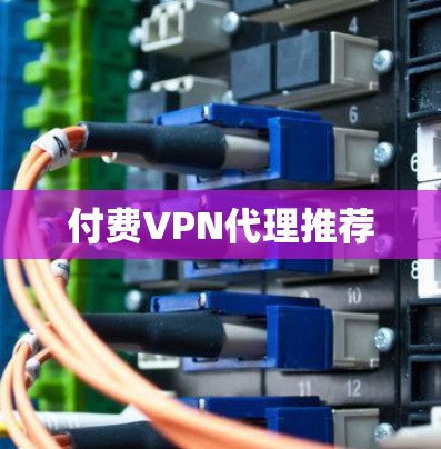付费VPN代理推荐