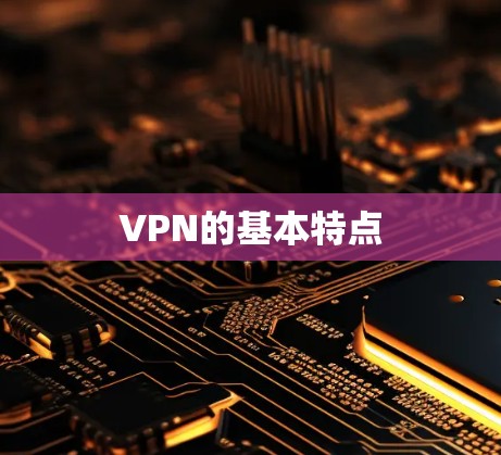 VPN的基本特点