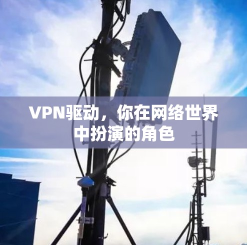 VPN驱动，你在网络世界中扮演的角色