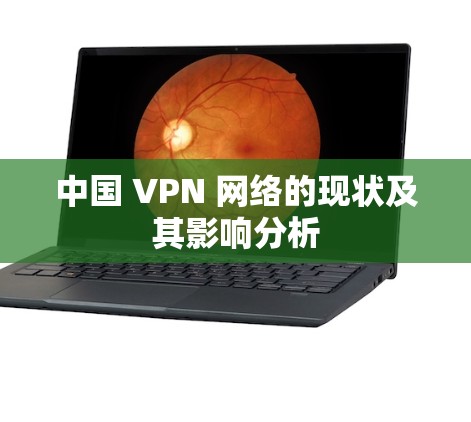 中国 VPN 网络的现状及其影响分析
