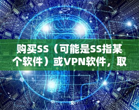 购买SS（可能是SS指某个软件）或VPN软件，取决于你具体的需求是什么。以下是两种情况的建议