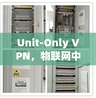 Unit-Only VPN，物联网中数据传输的高效选择