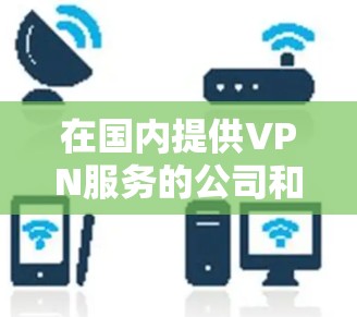 在国内提供VPN服务的公司和平台数量有限，但确实有多个国内VPN服务提供商。以下是一些关键信息