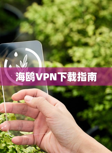 海鸥VPN下载指南