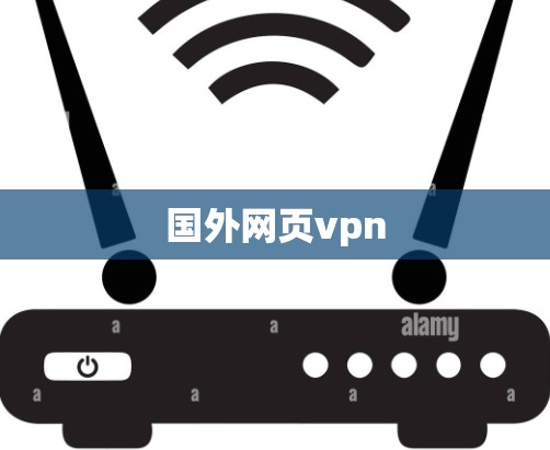 国外网页vpn