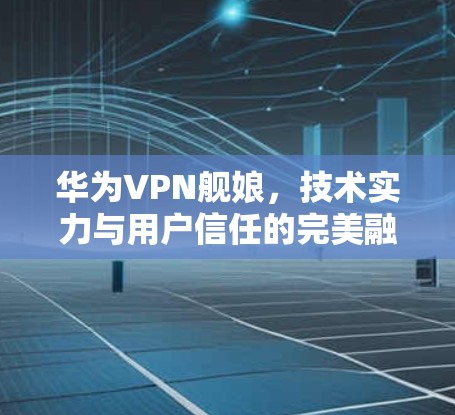 华为VPN舰娘，技术实力与用户信任的完美融合