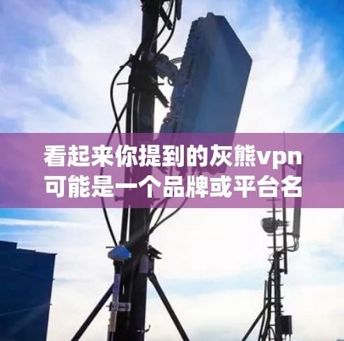 看起来你提到的灰熊vpn可能是一个品牌或平台名称，但没有提供足够的信息来确定具体含义。为了帮助你，我需要一些额外的信息，比如