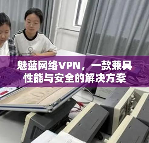 魅蓝网络VPN，一款兼具性能与安全的解决方案
