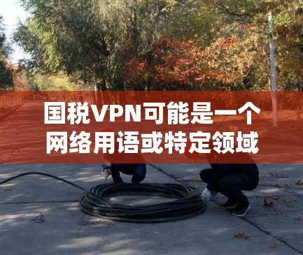 国税VPN可能是一个网络用语或特定领域的术语，具体含义可能因上下文而异。如果是指某个特定的VPN服务或平台，通常会提供以下信息