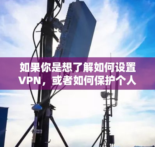 如果你是想了解如何设置VPN，或者如何保护个人隐私，我可以为你提供一些通用的建议