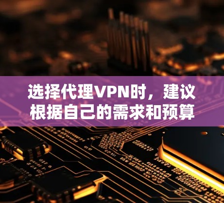 选择代理VPN时，建议根据自己的需求和预算进行仔细考虑。以下是一些常见的代理VPN服务类型和推荐建议