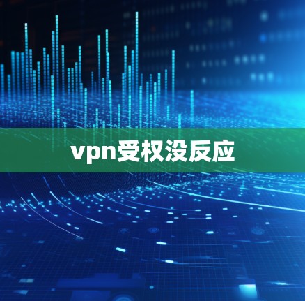 vpn受权没反应
