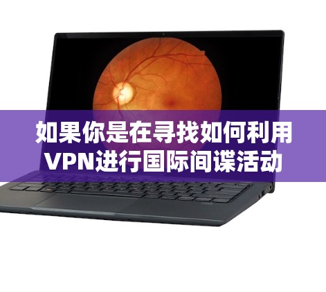 如果你是在寻找如何利用VPN进行国际间谍活动的策略，或者需要了解如何合法合规运营，可以考虑以下几点