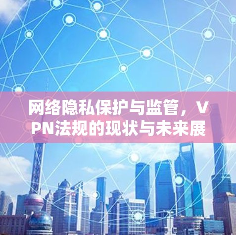 网络隐私保护与监管，VPN法规的现状与未来展望