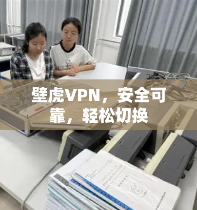 壁虎VPN，安全可靠，轻松切换