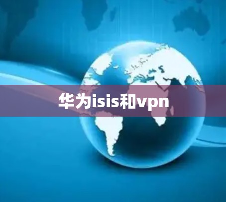 华为isis和vpn