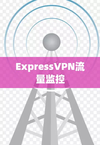 ExpressVPN流量监控