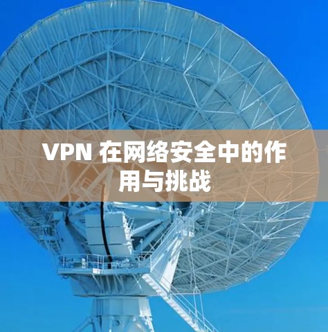 VPN 在网络安全中的作用与挑战