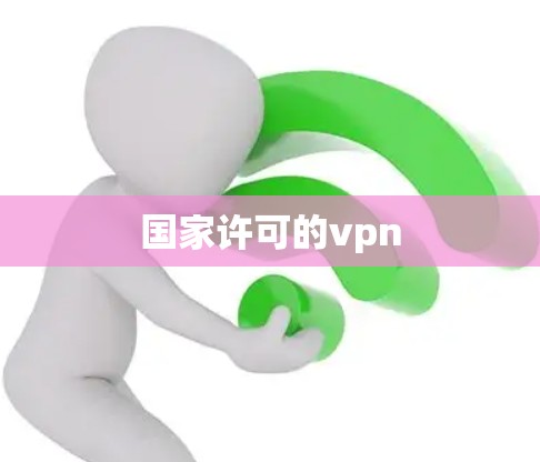 国家许可的vpn