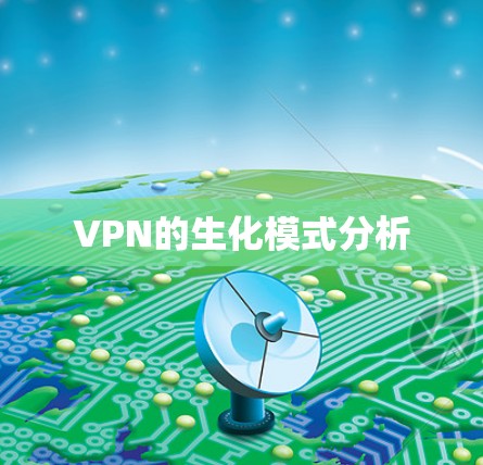 VPN的生化模式分析